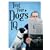 Test Your Dog's IQ