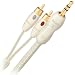 AudioQuest class 1 audio cable - mini to RCA plugs 3m (9.84') stereo pair