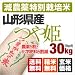 山形県産　特別栽培米　7分つき精米　つや姫　（精米後約27.9kg）　平成23年度産