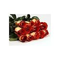 Two Dozen Long Stemmed Premium Leonidas Roses