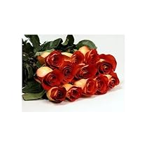 Two Dozen Long Stemmed Premium Leonidas Roses