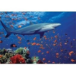 Melissa & Doug Shark 100 Piece Jigsaw Puzzle