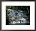 Dunn's River Falls, Ocho Rios, Jamaica Collections Framed Photographic Poster Print, 21x17