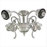 Monte Carlo MC66IS-L 4-Light Neck/Neckless Fitter, Irish Slate Finish