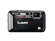 Panasonic Lumix TS20 16.1 MP TOUGH Waterproof Digital Camera with 4x Optical Zoom (Black)