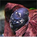 ���i�̏ڍ�