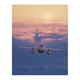 High Flight by Dru Blair poster print,24 in. x 30 in.