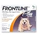 Merial Frontline Plus Flea and Tick Control for 0-to-22-Pound Dogs and Puppies, 3 Doses