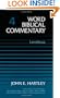 Word Biblical Commentary Vol. 4, Leviticus  (hartley), 593pp