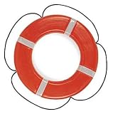 Taylor Made Products USCG Polyethylene Foam Life Ring (24, Orange)