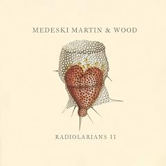 Radiolarians II cover 