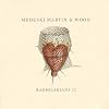 Radiolarians II