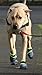Healers Urban Walkers Dog Boots for Paw Protection, 1-Pair, Large, Paw Width 3-1/8