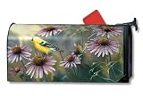 Goldfinch & Coneflower Mailwrap - B000XJVQLK