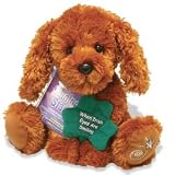 Shining Stars: St. Patricks Day Irish Setter