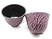 Happy Sales , Cast Iron Tea Pot Tea Set Bamboo Pink, 18-OZ