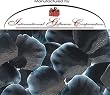 1000 Silk Rose Petals Wedding Favors - Two Tone - Black/White