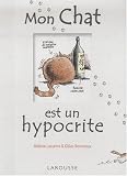 Mon chat est un hypocrite : (Et en plus, il est gros)