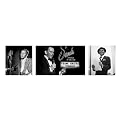 Unframed Posters - Frank Sinatra " Triptych" (12 x 36")