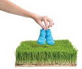 Trumpette Fore Baby Golf Socks 0-12 Months (6 Pack in Gift Box)