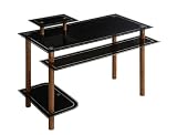 Innovex Glass Computer Desk with Bird Eye Legs