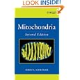 Mitochondria by Immo E. Scheffler