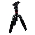 king Fotopro �~�j�O�r �u���b�N M-4 MINI 79538