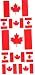 LW Temporary tattoos Canada flag
