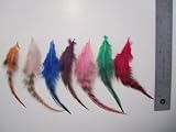 7 Colored Natural Feather 7 Colors