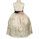 Girls 1/2-11/12 Fancy Taffeta Flower Girl Dress with Mauve Floral Embroidery