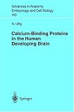 Calcium-Binding Proteins in the Human Developing Brain