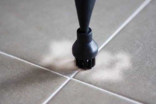 Imagen 3 de Polti Flash