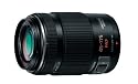 Panasonic デジタルカメラオプション マイクロフォーサーズシステム用交換レンズ Xレンズ 電動ズーム LUMIX G X VARIO PZ 45-175mm/F4.0-5.6 ASPH./POWER O.I.S. ブラック H-PS45175-K