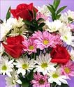 Scrumptous Blooms
