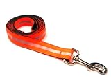 Large Reflective Orange Dog Leash: 1