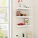 WELLAND Houston Floating Wall Shelf Display Floating Shelf (36-Inch, White)