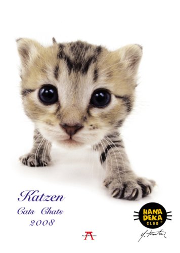 Katzen