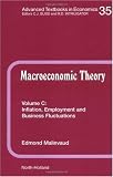 Inflation, Employment and Business Fluctuations, Volume Volume 35C (Advanced Textbooks in Economics)