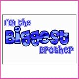 Im The Biggest Brother Iron-On Decal