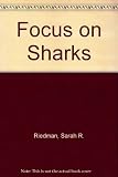 Focus on sharks