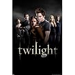 (24x36) Twilight Movie (Group) Poster Print