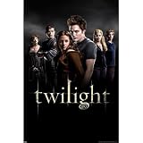 Twilight (Group) Movie Poster Print - 24" X 36" Poster Print, 24x36