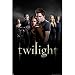 Twilight (Group) Movie Poster Print - 24" X 36"