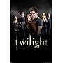 Twilight (Group) Movie Poster Print - 24" X 36"