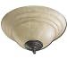 Quorum Fans 1120-801P Amber Stone Glass Light Kit Toasted Sienna
