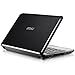 MSI Wind U100-432US 10-Inch Netbook (1.6 GHz Intel Atom Processor, 1 GB RAM, 160 GB Hard Drive, XP Home, 6 Cell Battery) Black