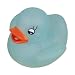 Flashing Duck
