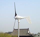 GOWE 600W wind turbine generator, 600W wind turbine+MPPT controller +500/1000w pure sine wave inverter
