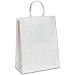 Aviditi BGS104W Paper Shopping Bag, 10" Length x 5" Width x 13" Height, White (Case of 250)