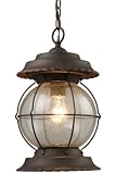 Ellipse Outdoor Lantern 16'hx9'w Brnt Brnz W/ Gl